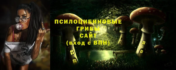эйфоретик Баксан
