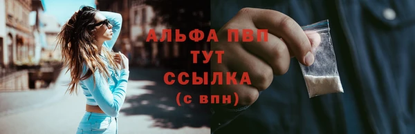 эйфоретик Баксан