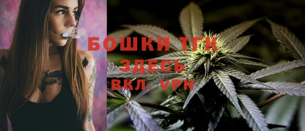 эйфоретик Баксан