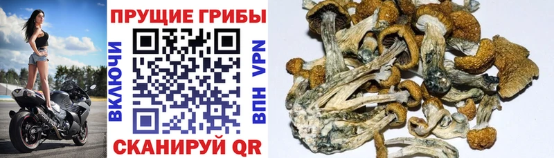 МЕГА как войти  купить   Краснотурьинск  Псилоцибиновые грибы мухоморы 